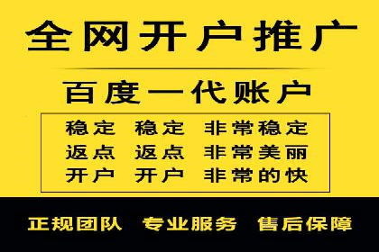 百度竞价赚钱的技巧与成功案例探讨