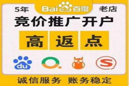 搜索引擎营销（SEM）在本地市场的应用案例